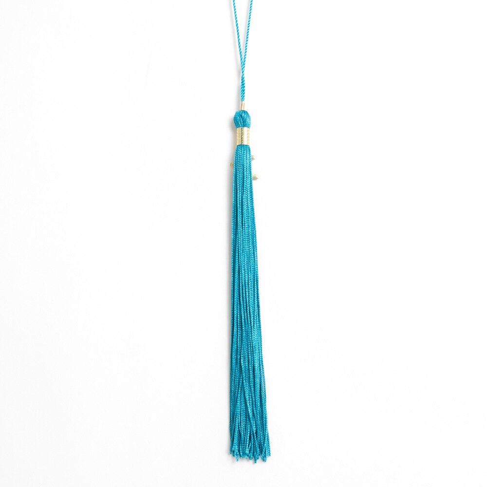 Ducks Spirit, Josten's, Bachelor & Masters, Grad, Student, Tassel, 154599, Peacock